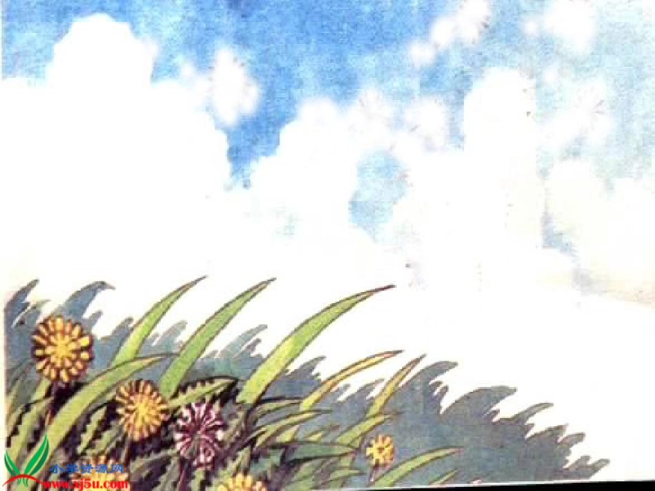 二年级语文植物妈妈有办法3gdkj_第3页