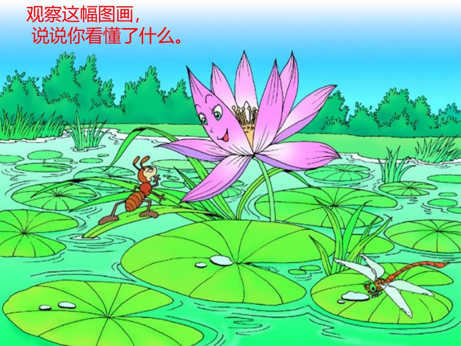 小学一年级语文《夏夜多美》课件_第2页