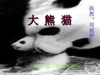 大熊猫@无忧PPT