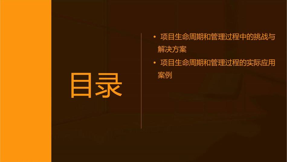 项目的生命周期和管理过程课件_第3页