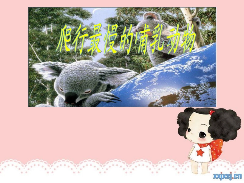爬行最慢的哺乳动物_第2页