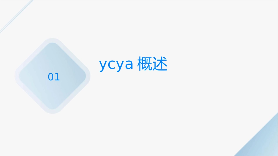 某公司YCYA知识培训讲义课件_第3页