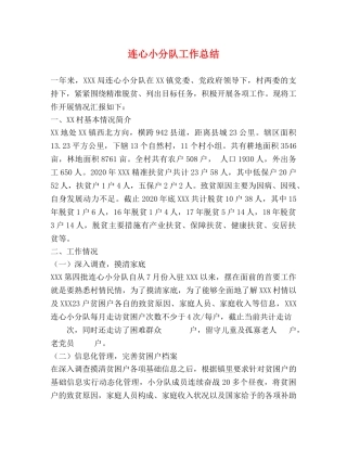连心小分队工作总结 