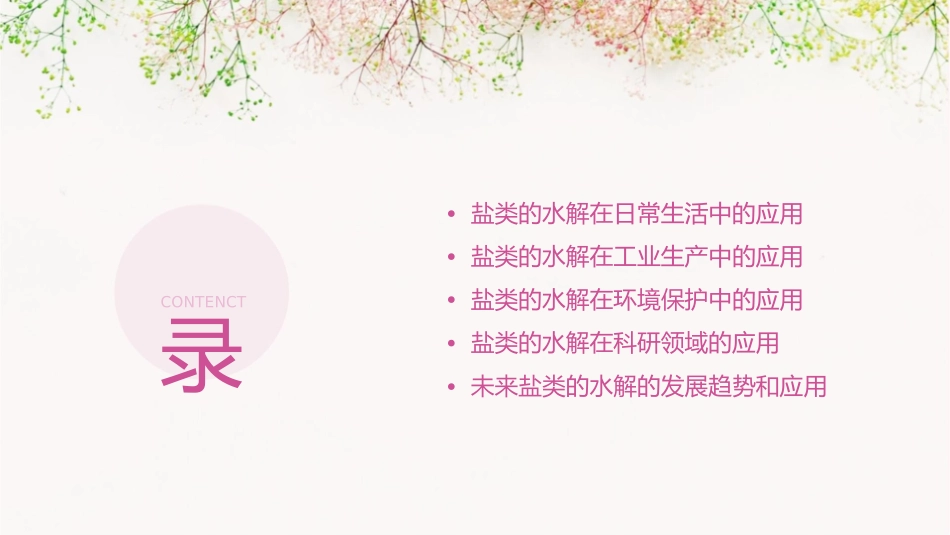 盐类的水解及其应用详解课件_第2页