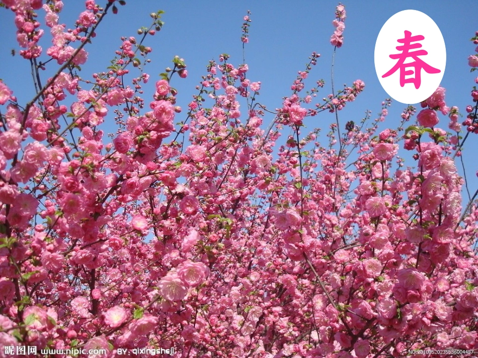 二年级下册识字5_第2页