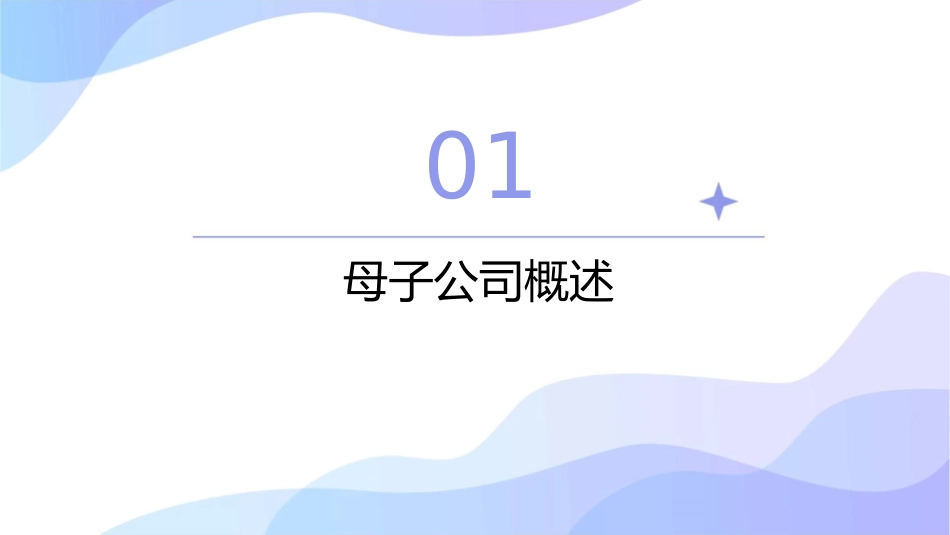 母子公司的管理现状课件_第3页