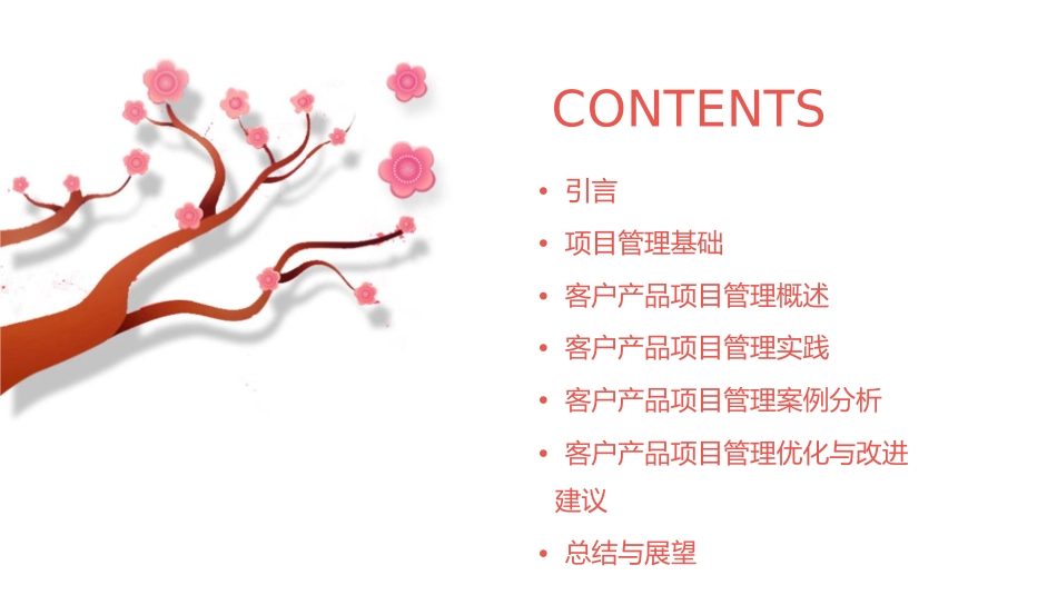 客户产品项目管理课件_第2页