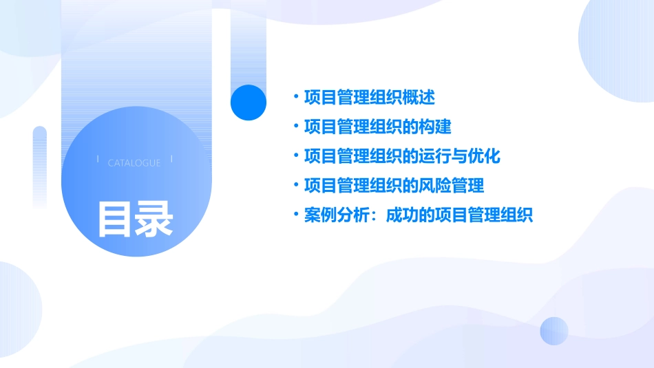 项目管理组织课件_第2页