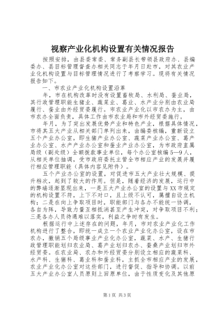 视察产业化机构设置有关情况报告