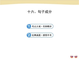 初中语法专题十六