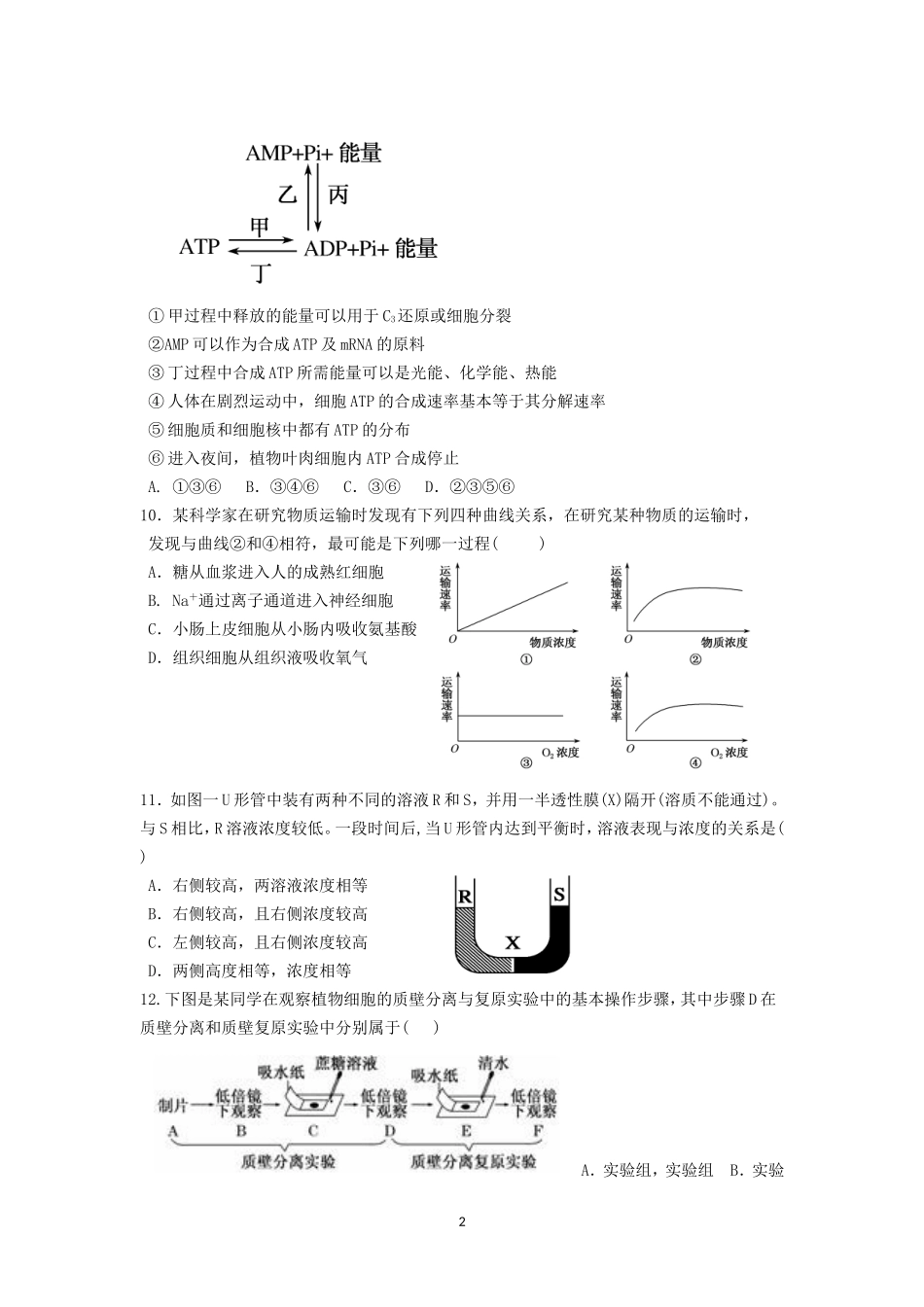 2014-2015学年度衡东一中周练生物卷（3）期中考试1106_第2页