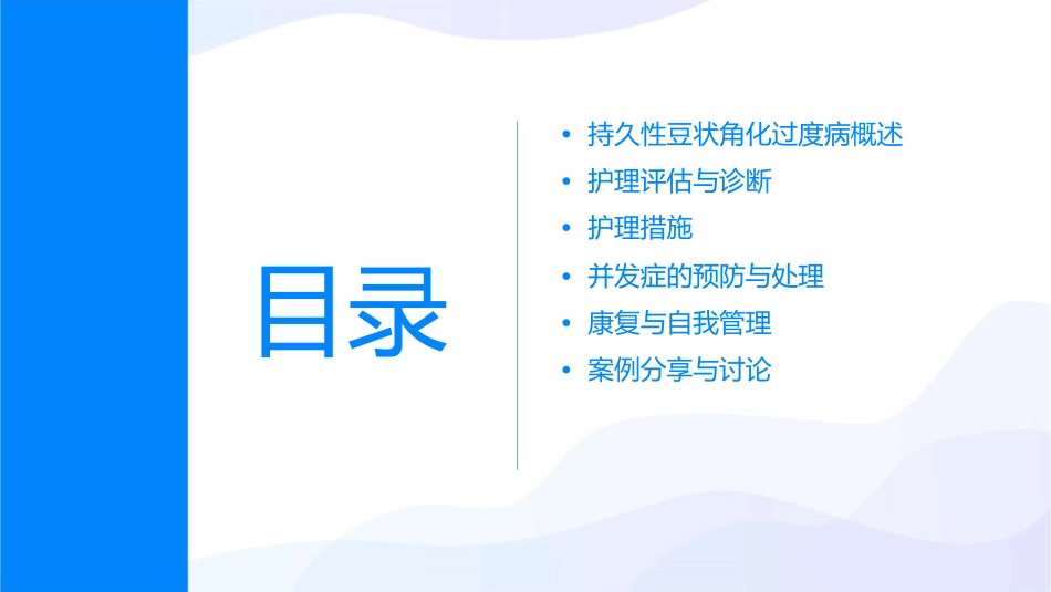 持久性豆状角化过度病护理课件_第2页