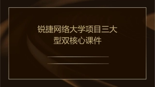 锐捷网络大学项目三大型双核心课件