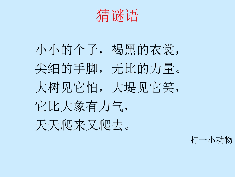 《上天的蚂蚁》教学课件_第2页
