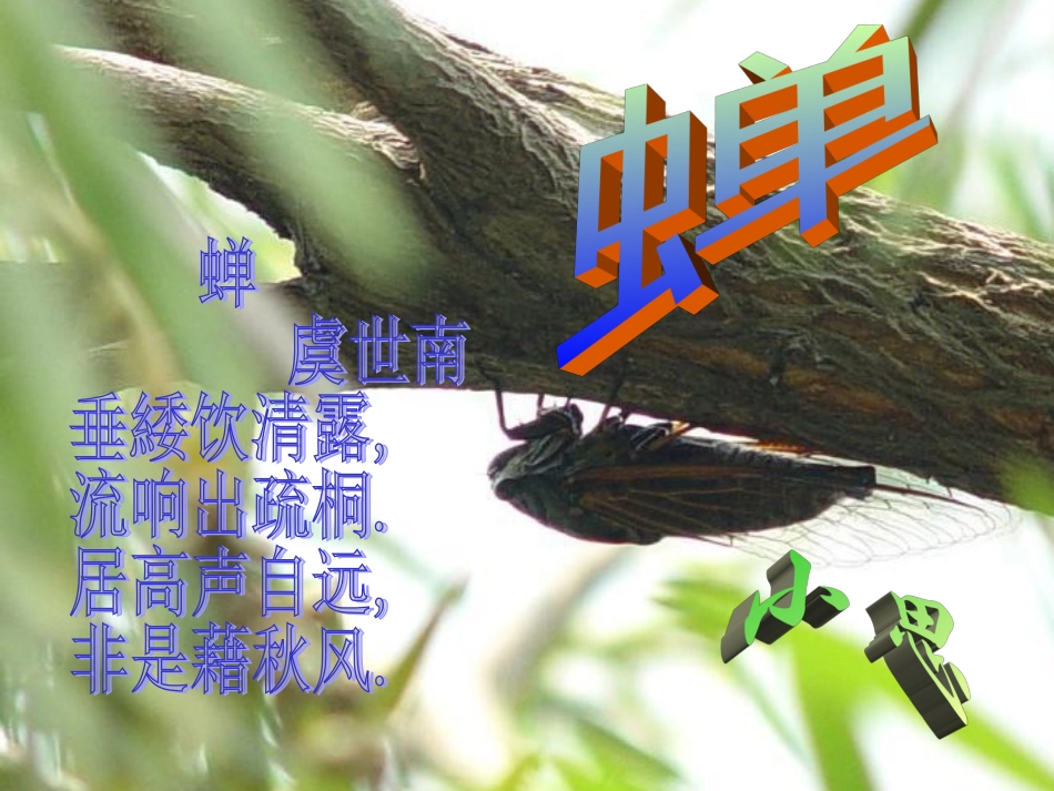 短文两篇之蝉4_第2页