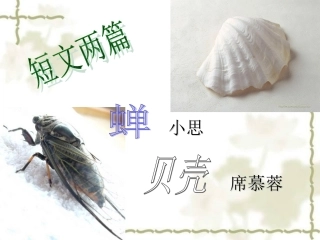 短文两篇之蝉4