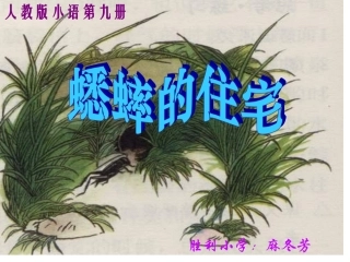 四年级语文蟋蟀的住宅