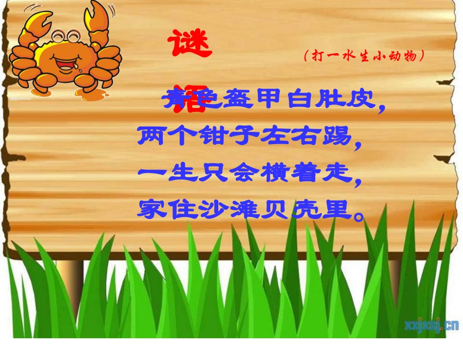 《螃蟹歌》课件_第2页