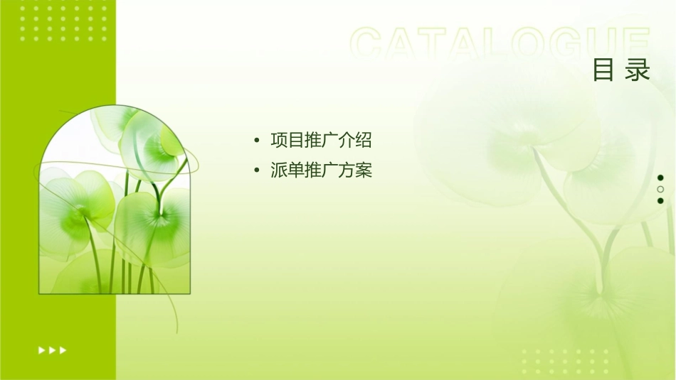 项目推广之派单方案课件_第2页