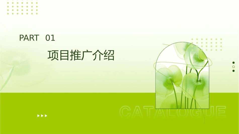 项目推广之派单方案课件_第3页