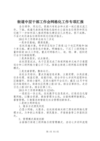 街道中层干部工作会网格化工作专项汇报