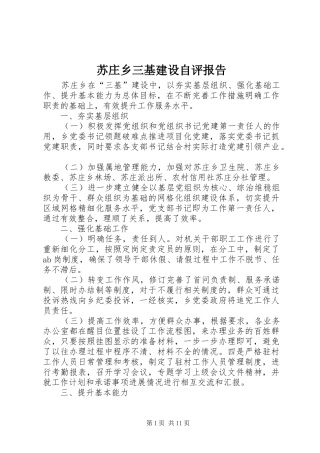苏庄乡三基建设自评报告