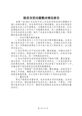 脱贫攻坚问题整改情况报告