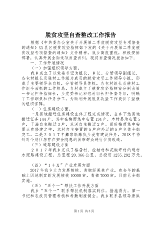 脱贫攻坚自查整改工作报告