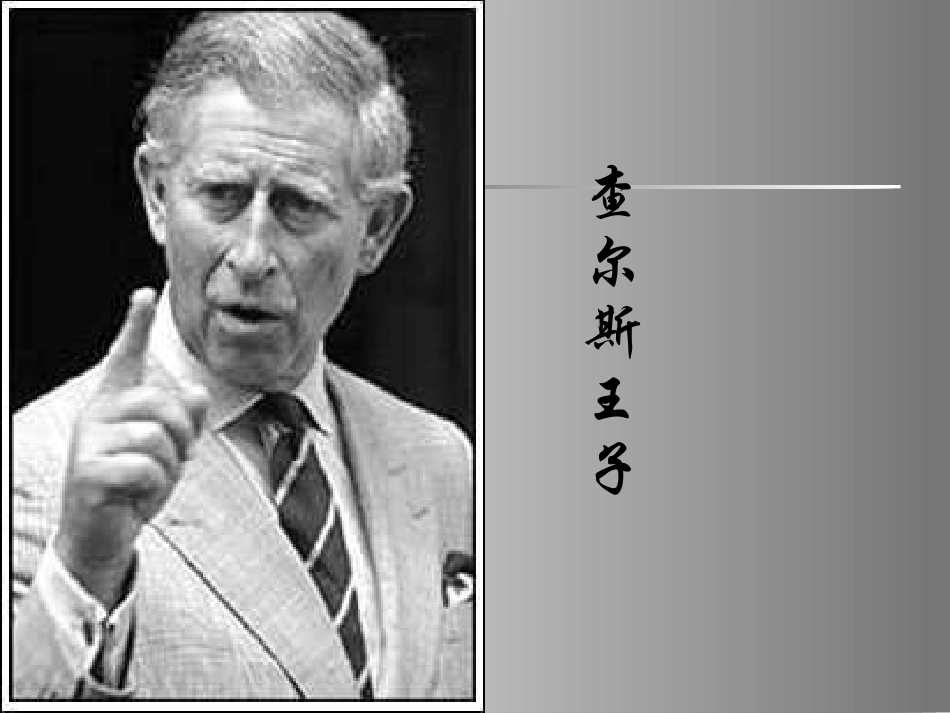 别了，不列颠尼亚课件上课用_第3页