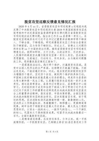 脱贫攻坚巡察反馈意见情况汇报