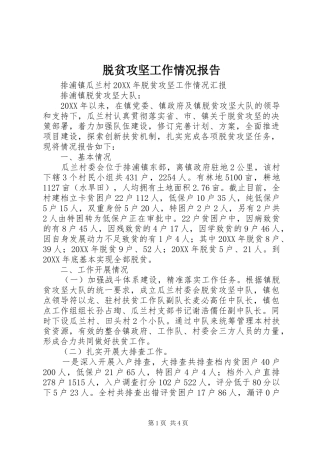 脱贫攻坚工作情况报告