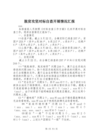 脱贫攻坚对标自查开展情况汇报