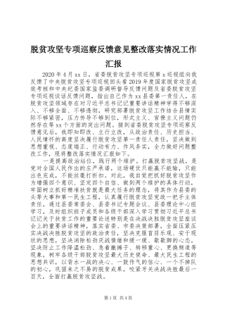 脱贫攻坚专项巡察反馈意见整改落实情况工作汇报
