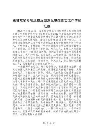 脱贫攻坚专项巡察反馈意见整改落实工作情况汇报