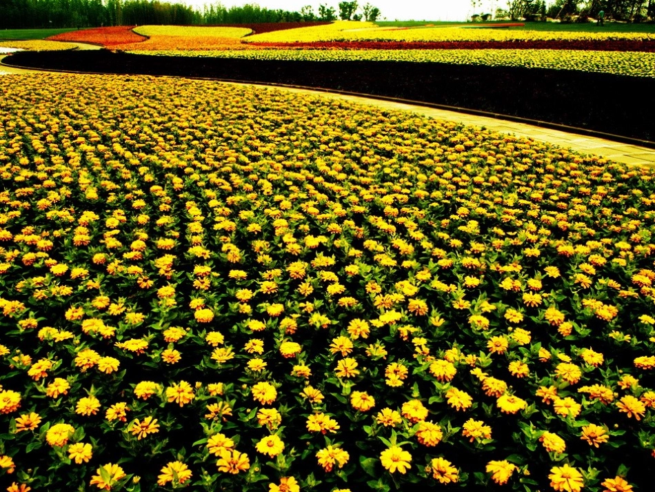 用字母表示数课件2_第2页