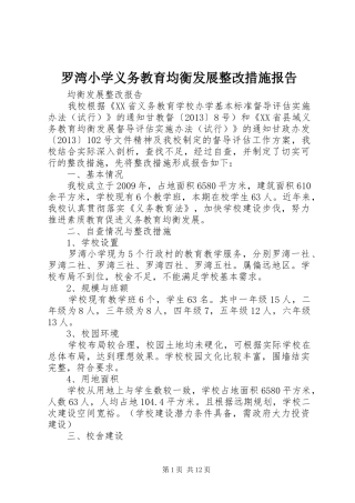 罗湾小学义务教育均衡发展整改措施报告