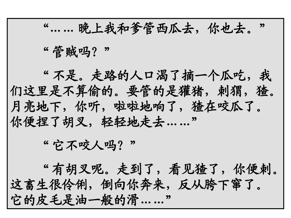 《少年闰土》第二课时_第3页