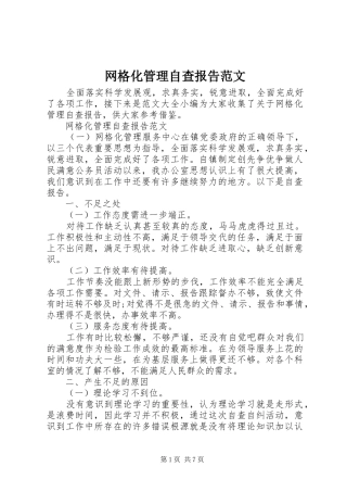 网格化管理自查报告范文
