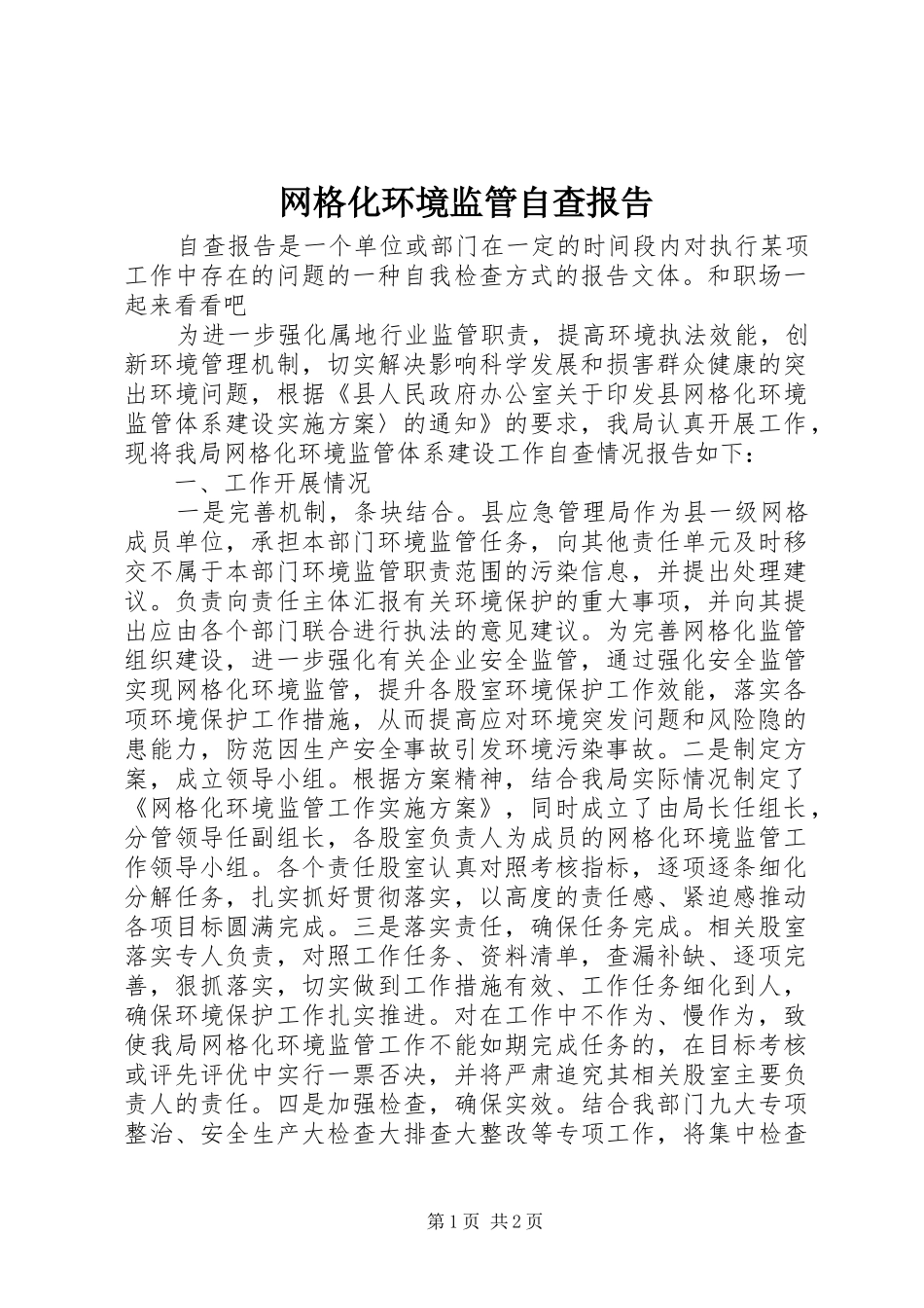 网格化环境监管自查报告_第1页