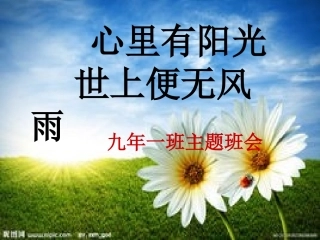 中学生心理健康主题班会课件：心里有阳光__世上便无风雨
