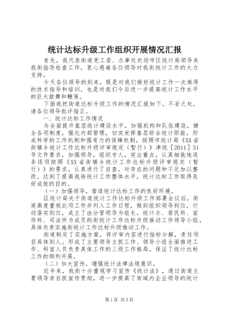 统计达标升级工作组织开展情况汇报