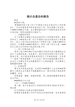 统计自查自纠报告