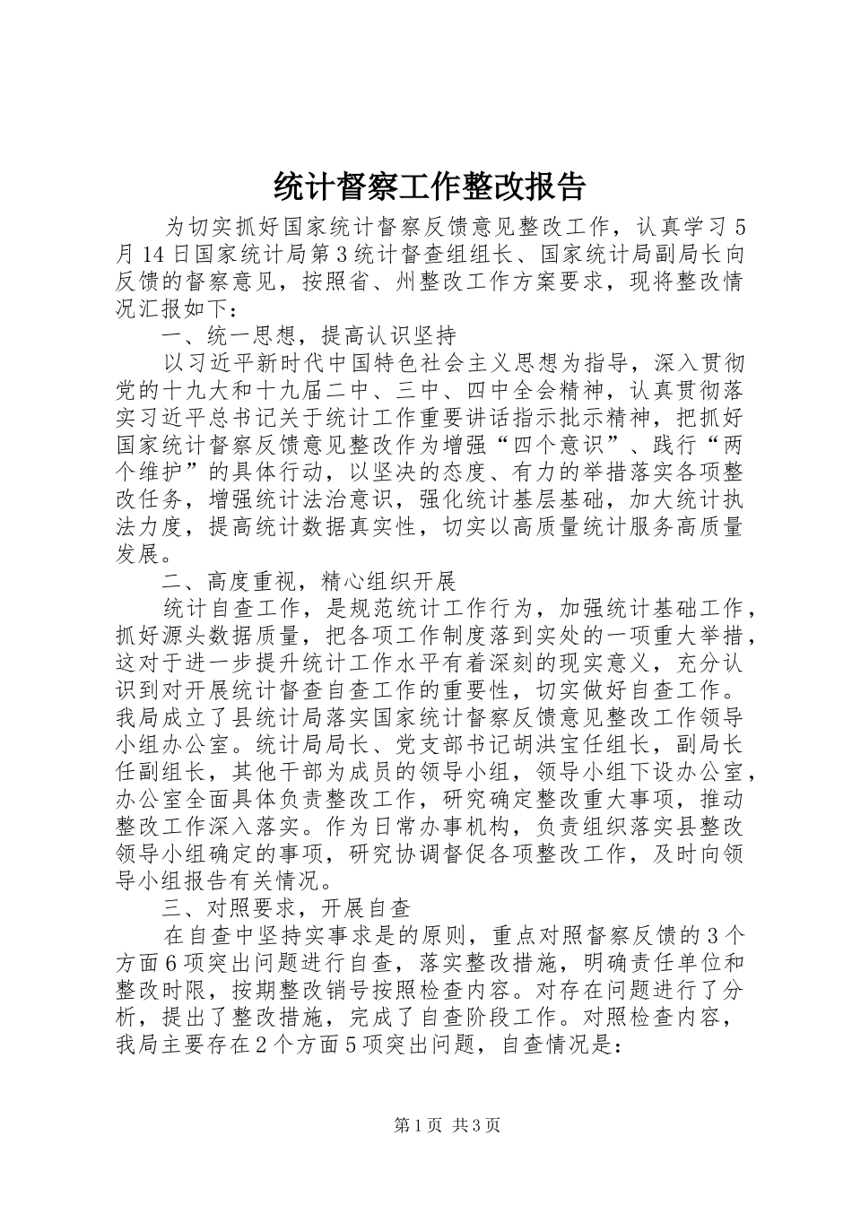 统计督察工作整改报告_第1页