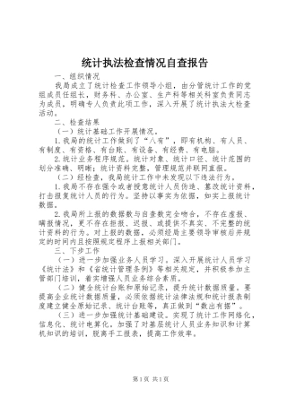 统计执法检查情况自查报告