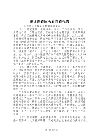 统计巡查回头看自查报告