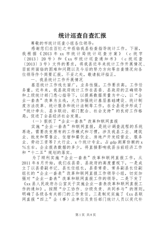 统计巡查自查汇报