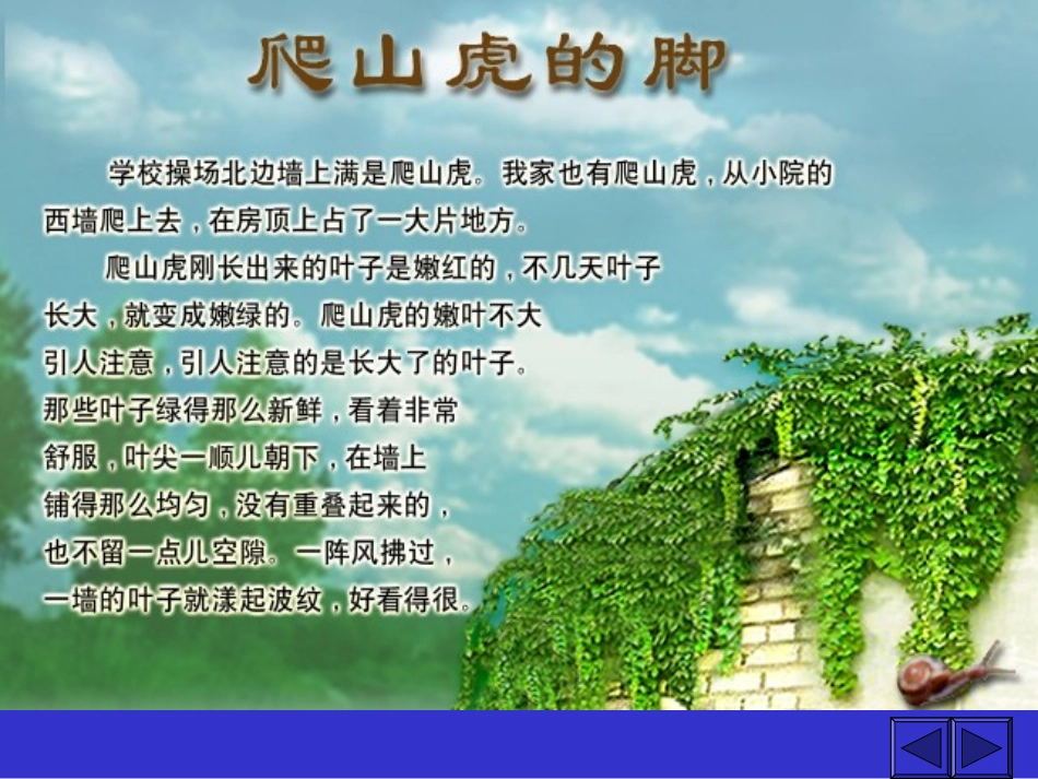 四年级语文爬山虎的脚1［人教版］_第3页