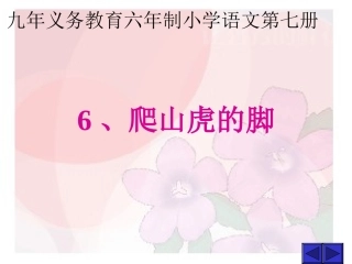 四年级语文爬山虎的脚1［人教版］