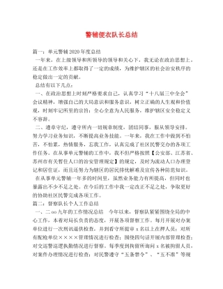 警辅便衣队长总结 