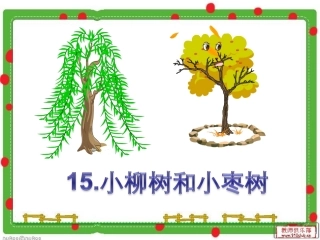 《小柳树和小枣树》课件2